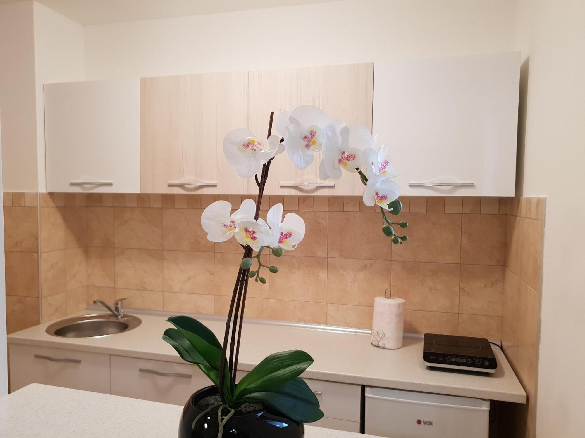 Apartman Kej Free Parking クラリエボ エクステリア 写真